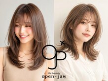 オープンジョー(Open Jaw)