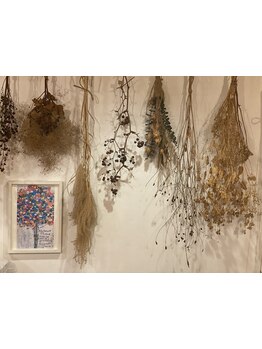 マンツーマン施術なので悩みや要望が伝えやすい◎誰でも緊張せずに気軽に来られる雰囲気が魅力のサロン♪