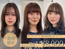 マルケ ドゥ マッシュ(MaruQuee de mashu)