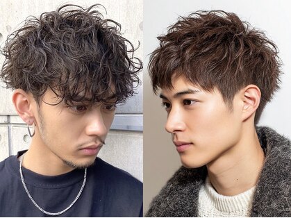 バイエイト(X８)の写真