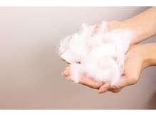 髪の芯から補修、自然の力でツヤ髪へ