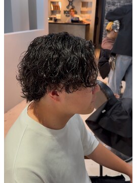 ステラ(STELLA) サーフカール