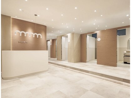 マグノリア(magnolia)の写真