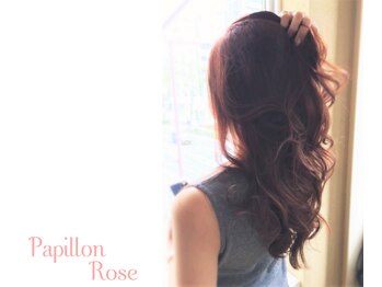Papillon Rose【パピヨン　ロゼ】