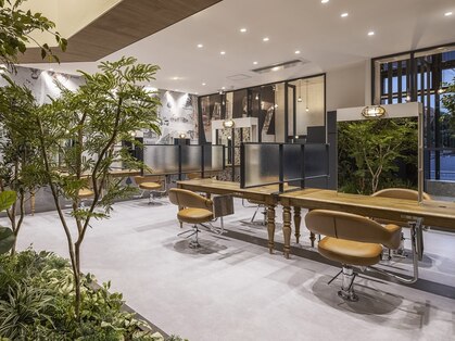 ウィズ 柏店(Wiz)の写真