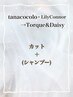 《tanacocolo・LilyConnor→Torque&Daisy》カット