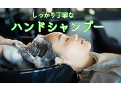 カラーのちから 岐阜河渡店の写真