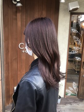 ケースプラスグリーン(CASE+GREEN) チョコレートブラウン