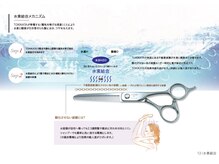 ☆TOKIKATAシザー☆