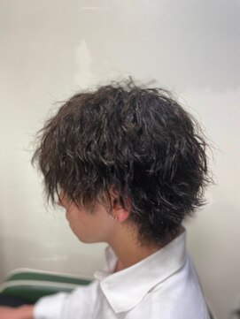 ヘアーフィーノ(hair fino) ツイストスパイラル(ツイスト強め)