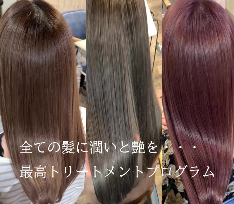 カットカラーハホニコトリートメント エリア希少☆大反響【世界初処方新ハホニコTr】＆本物の【最新☆髪質