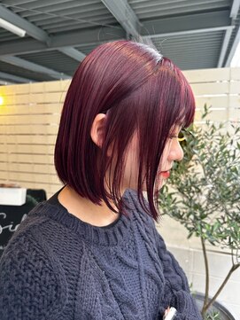 シダ(sida) チェリーレッド