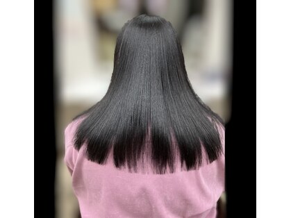 ステデイ(steady)の写真