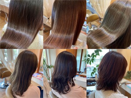 カームヘアー(Calm hair)の写真
