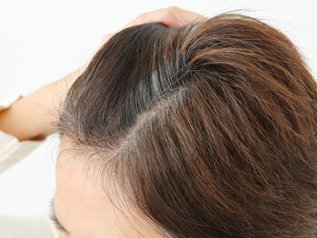 オーガニックカラー白髪染め専門店Organic 前橋みなみモール店【4/24 OPEN（予定）】 の写真/【前橋みなみモール店】ダメージレスな低刺激の薬剤で、うるおいを含んだ自然な艶髪へ導きます♪