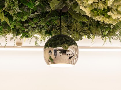 ルースト 原宿店(ROOST)の写真