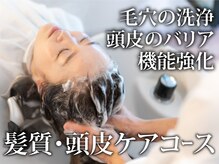 ルルン(Lu-Lun)の雰囲気（頭皮環境を整える 健康的な髪作りに）