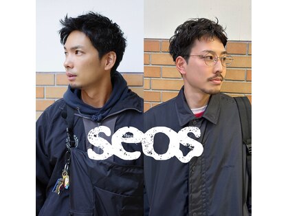 セオス(seos)の写真