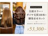 【プルエクステ】全頭カラー+ダイヤ毛質100本+馴染ませカット→￥53300~