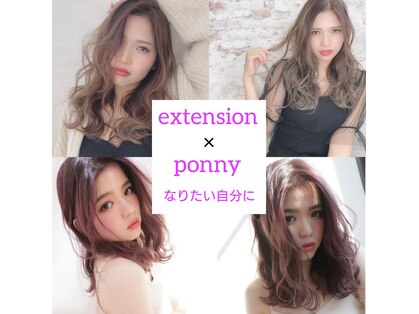 ポニー(Ponny)の写真