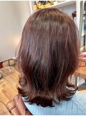 AVEDAカラー