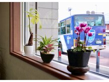 ミヤザキ エスト1946(MIYAZAKI est.1946)の雰囲気（フェード/理容室/バーバー/シェービング/白髪染め/メンズ/キッズ）