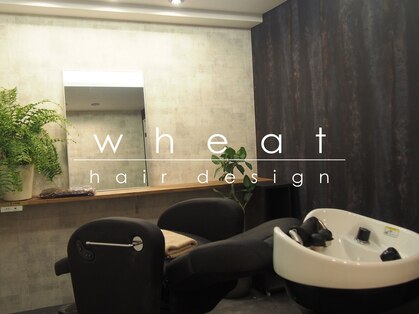 ウィート(wheat)の写真