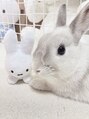 アロマ 仙台店(AROMA)&nbsp;ウサギ飼ってます