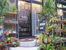 ウニ(uni)の雰囲気（多肉植物沢山います、お散歩がてらにもどうぞ！！）