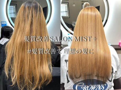 ミストプラス(MIST+)の写真