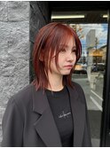 レイヤーボブ