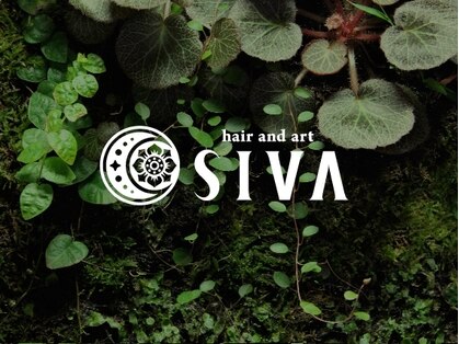 シヴァ(SIVA)の写真