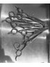 cut＋頭皮臭除去＋頭髪の健康促進