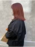 【清澄白河 半個室】 ローズレッド