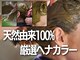 フリーサロントイロ シャンティ(free salon toiro shanti)の写真