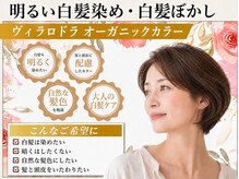 コアフィールドマサコ 小松島店(COIFFURE de MASAKO)