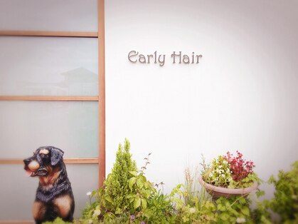 Early hair 【アーリーヘアー】