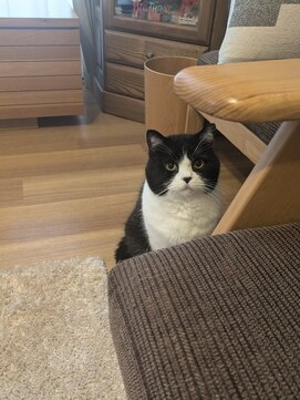 オーガニックヘアーサロン ハッピーティアーズ(Happy tears) ハチワレ