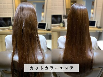 カミケンガレリア(kamiken. galleria)の写真