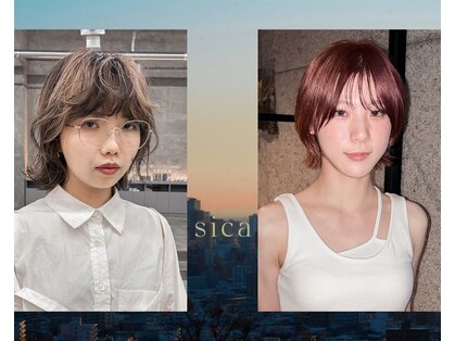 シカ(sica)の写真