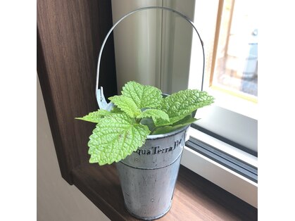 美容室ミント(mint)の写真