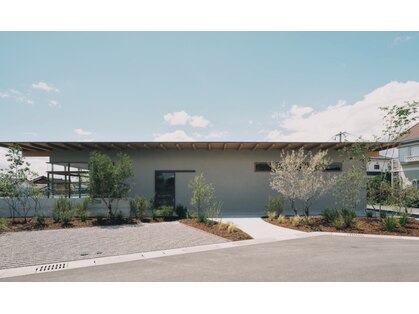 イロドリ(irodori)の写真