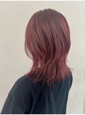 ミディアムウルフ