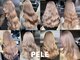 ペレ 栄店(PELE)の写真