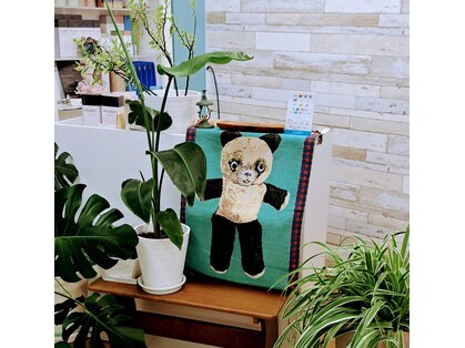 サン(SUN)の写真