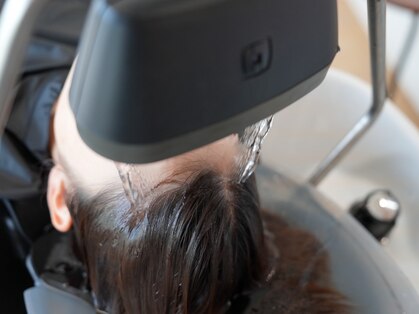 マオラ(mahola)の写真