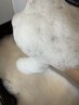 カット+カラー+プレバブ　￥１３２００