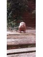 カシココ193(casicoco193.) 旅先のとある木の上に妖精？思わず激写しました（笑）いい事ある
