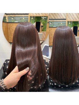 エヌ 北千住(N) ショコラブラウン