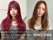 シクネ 新潟駅 万代(SHICUNE)